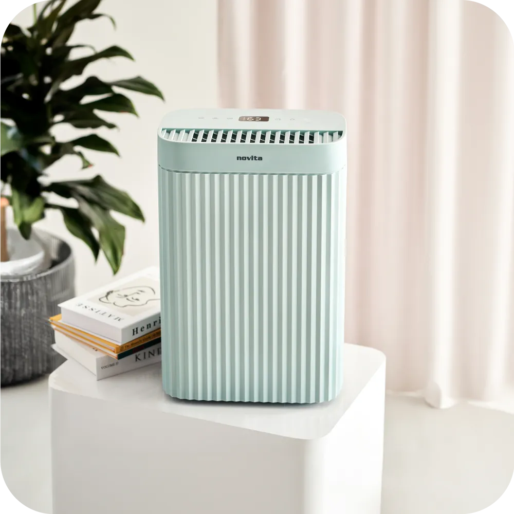 Non-Refundable Pre-Payment for New Homeowners - Dehumidifier   Air Purifier The 2-In-1 ND2 