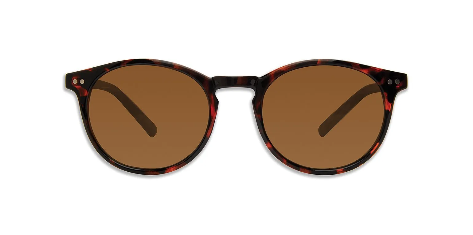 The Maestro Sunglasses