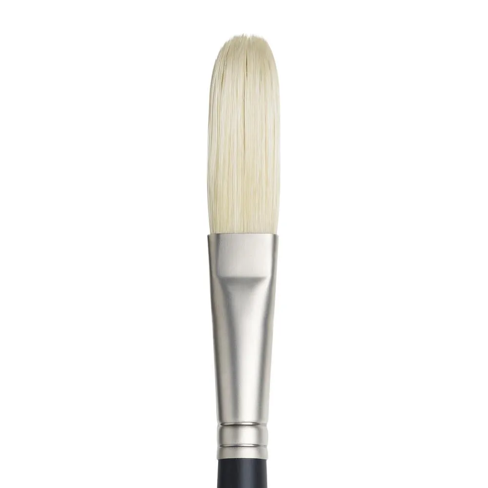 Winsor & Newton Artists' Oil Brushes - Extra Long Filbert