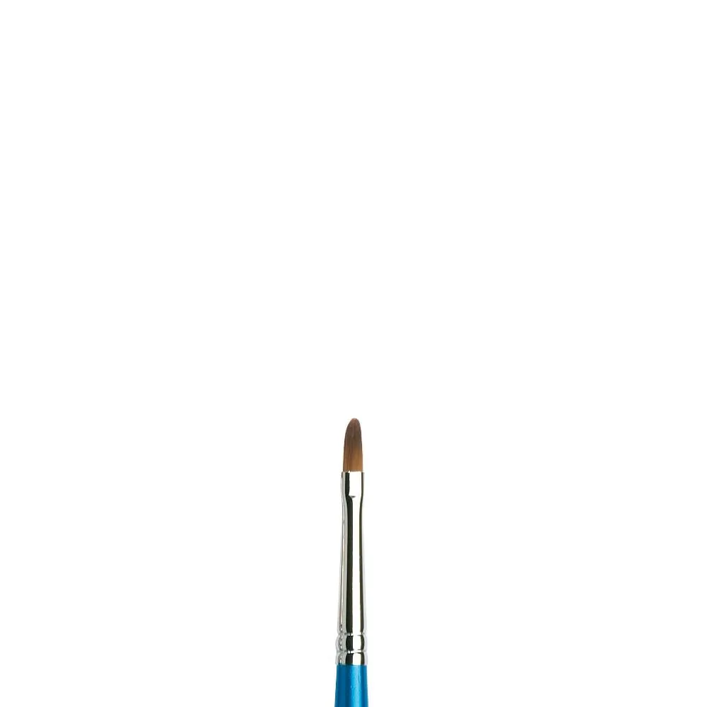 Winsor & Newton Cotman Brushes Series #668 Filbert